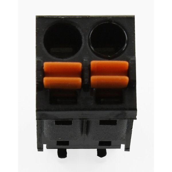 2 Pole Black Connector